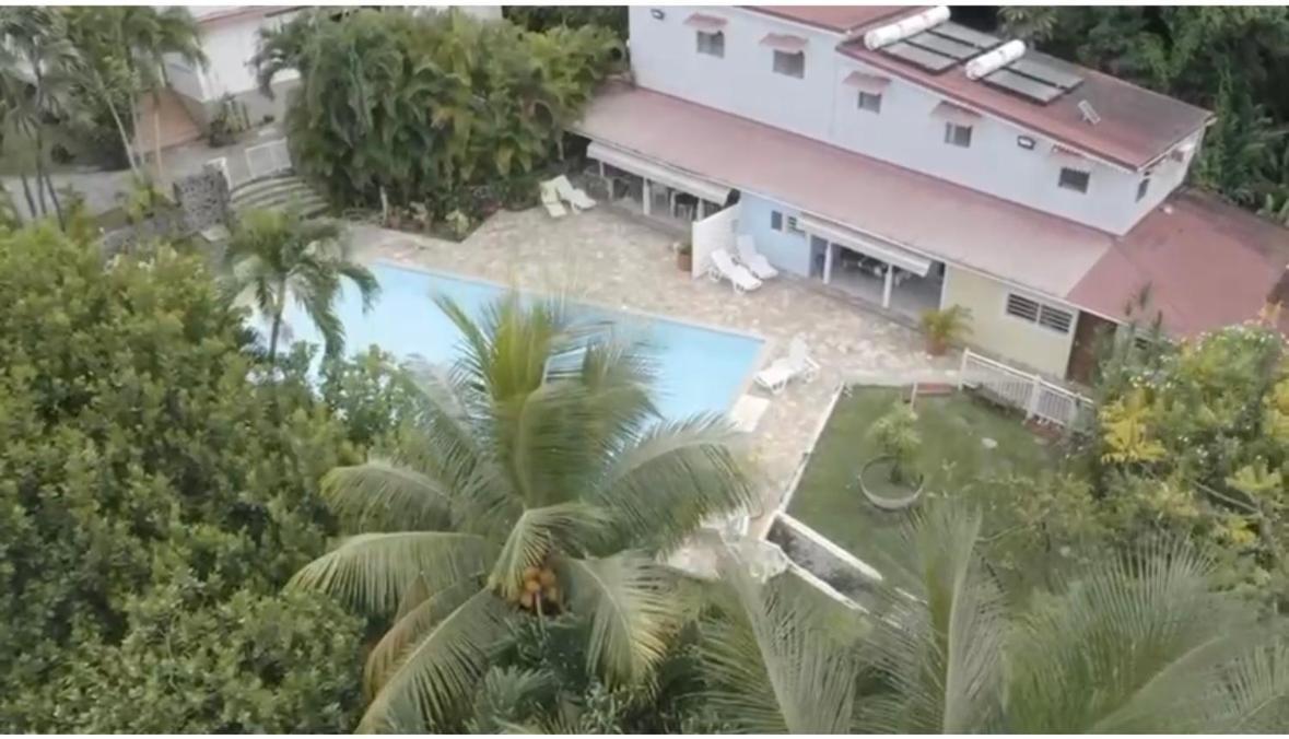 Villa Les Orchidees Et Villa Alpinia Petit-Bourg Esterno foto