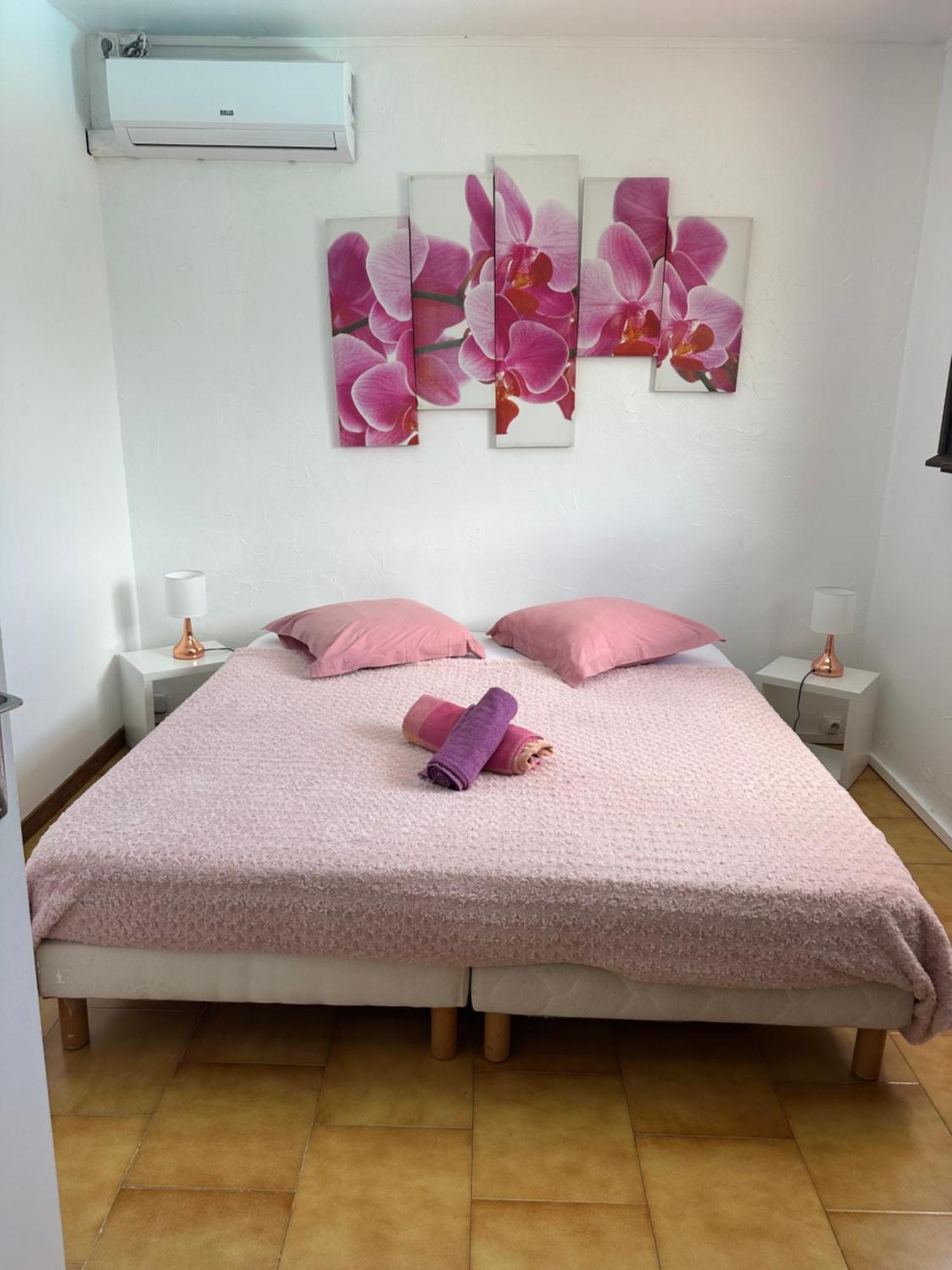 Villa Les Orchidees Et Villa Alpinia Petit-Bourg Esterno foto